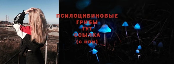 дурь Горняк