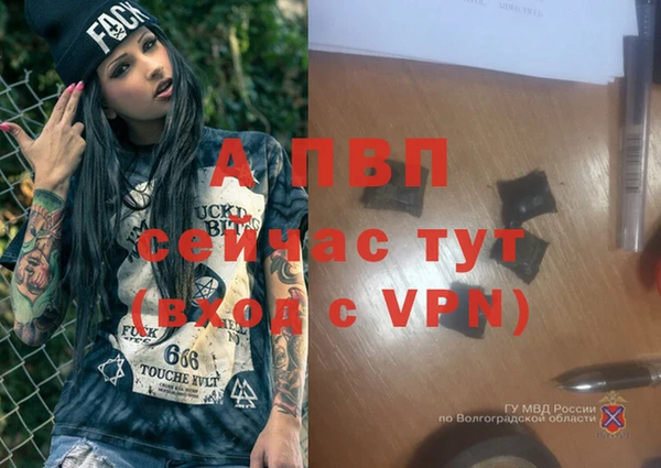 дурь Горняк