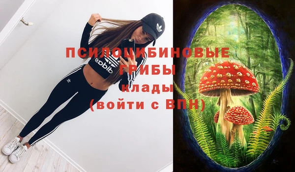кокаин премиум Горнозаводск