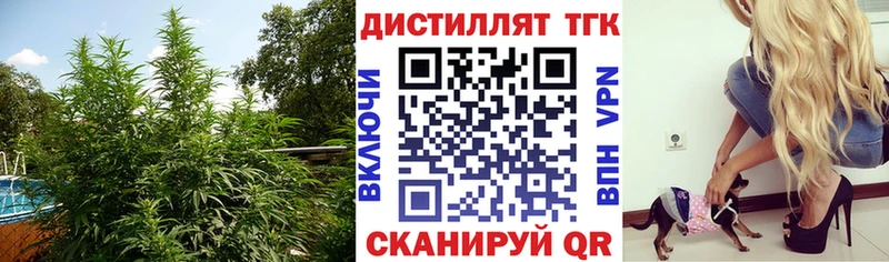 Дистиллят ТГК концентрат Ленинск-Кузнецкий