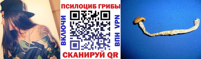 Купить  Ленинск-Кузнецкий  Галлюциногенные грибы мухоморы 